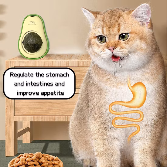 Yiwu Buying Sourcing Agent Amazon Pet Toy Supplies Catmint Wall Ball Rotatable Treats Creative Avocado Catnip Ball Cat Toys